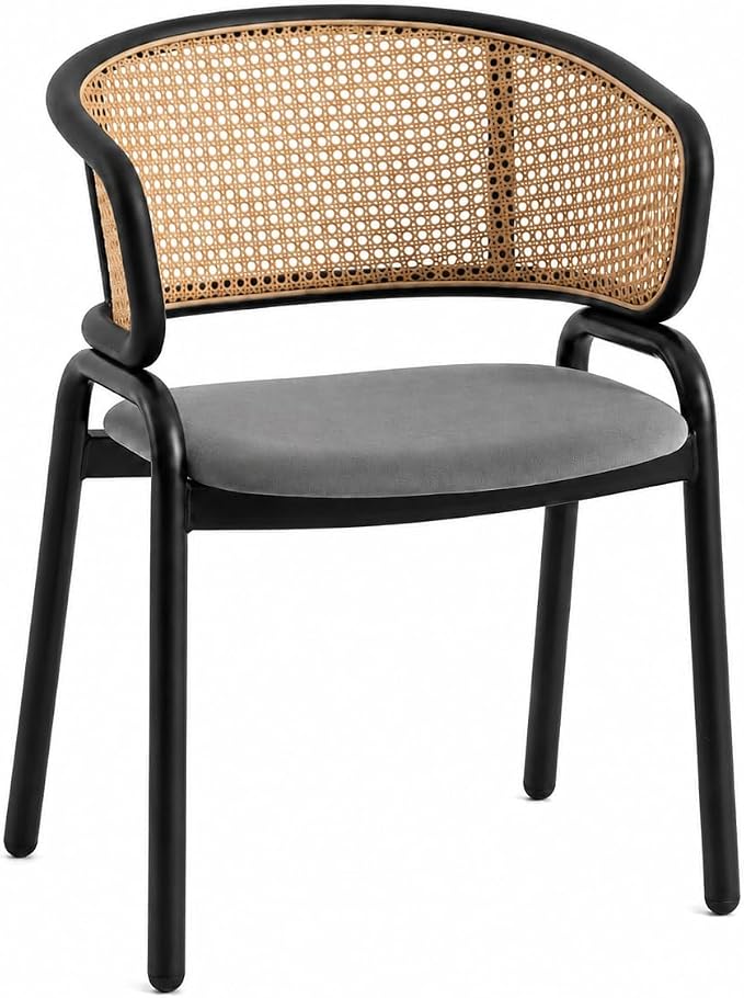 Ervilla Leather Dining Armchair in Black/White Stainless Steel Base With Wicker Back