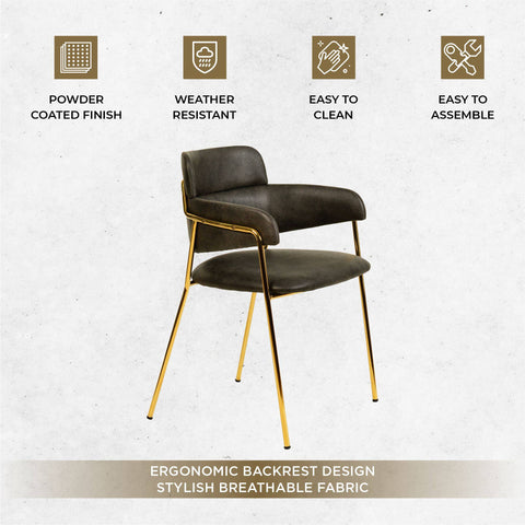 Axis Upholstered Dining Chair with Curved Open-Back Design and Gold Stainless Steel Legs