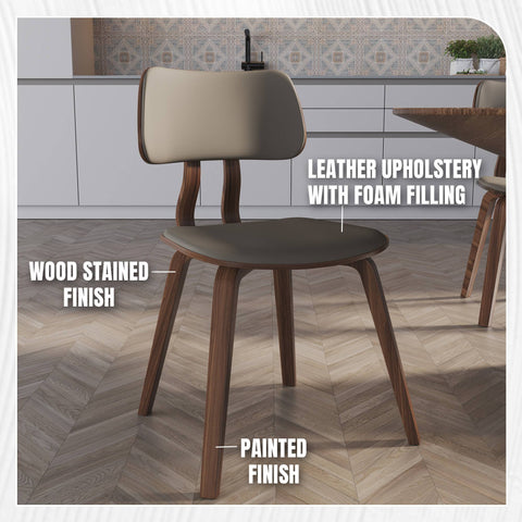 Clivo Modern Wooden Dining Chair With Walnut Color Frame