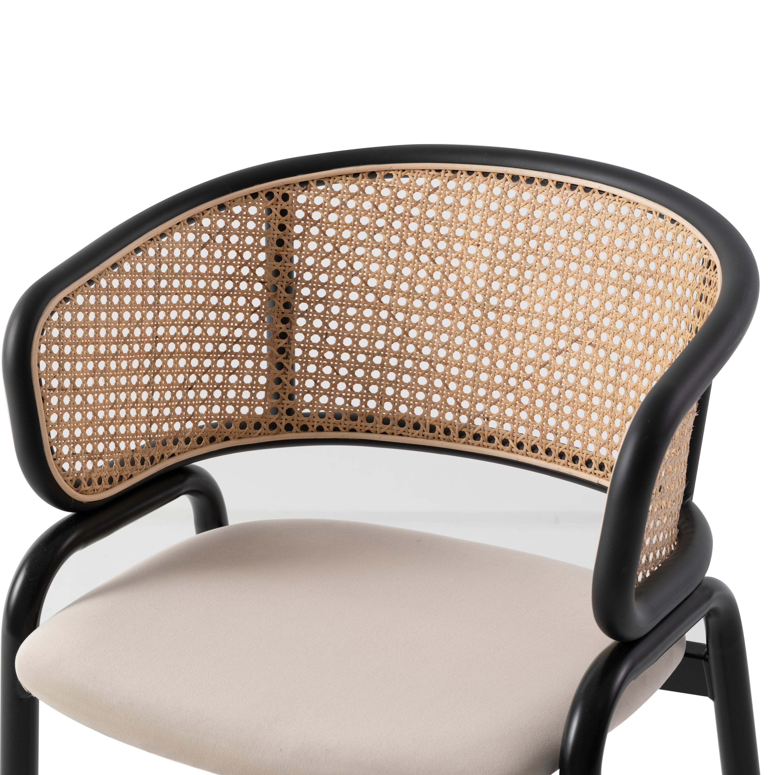 Ervilla Leather Dining Armchair in Black/White Stainless Steel Base With Wicker Back
