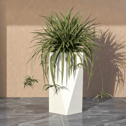 Aloe Tapered Square Fiberstone And MGO Clay Planter For Indoor And Outdoor