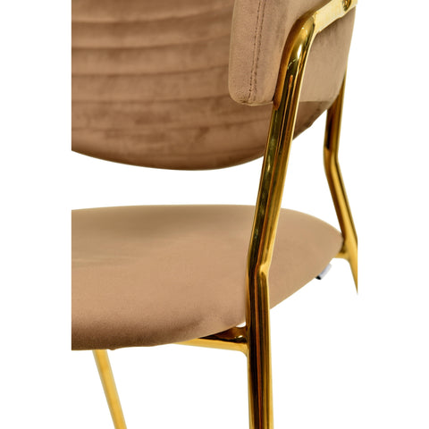 Bella Dining Chair Upholsted in Leather or Velvet in Gold Stainless Steel