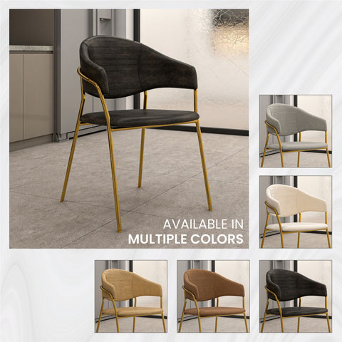 Bella Dining Chair Upholsted in Leather or Velvet in Gold Stainless Steel