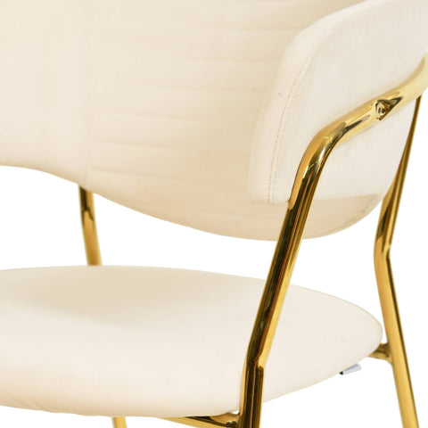 Bella Dining Chair Upholsted in Leather or Velvet in Gold Stainless Steel