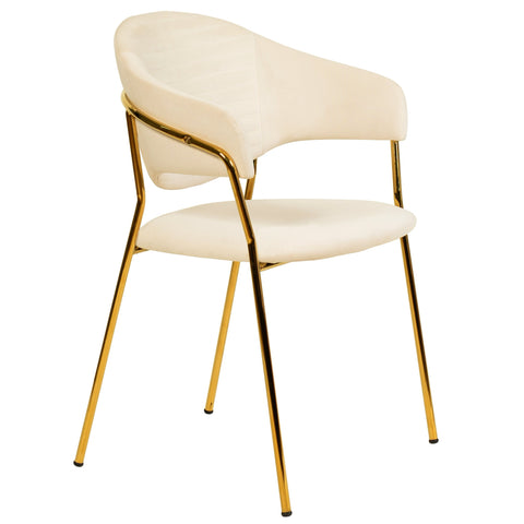 Bella Dining Chair Upholsted in Leather or Velvet in Gold Stainless Steel