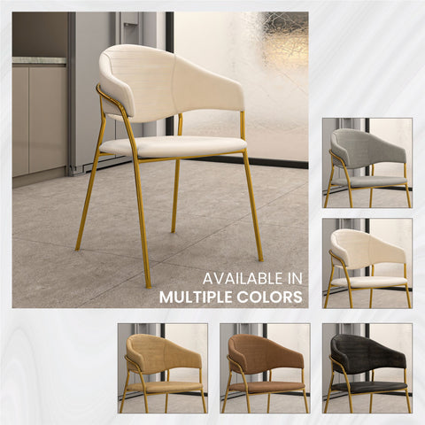 Bella Dining Chair Upholsted in Leather or Velvet in Gold Stainless Steel