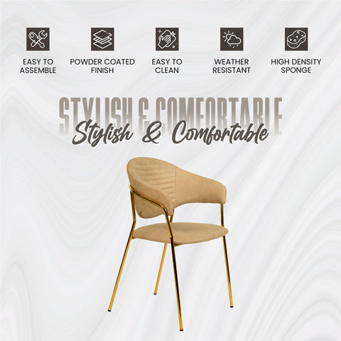 Bella Dining Chair Upholsted in Leather or Velvet in Gold Stainless Steel