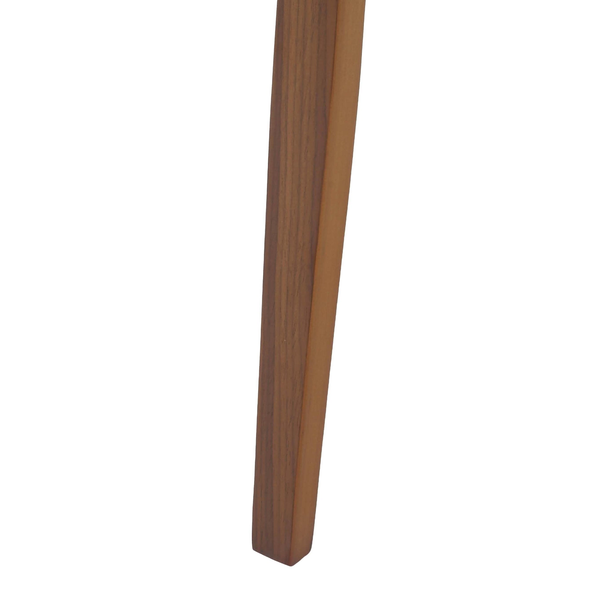Clivo Modern Wooden Dining Chair Upholstered in Leather With Walnut Color Frame