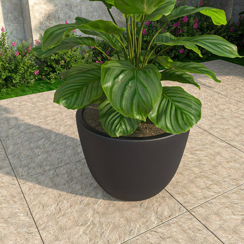 Dahlia Modern Fiberstone and MgO Clay Planter Pot for Indoor and Outdoor