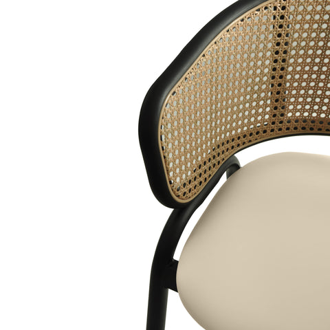 Ervilla Leather Bar Stool with Powder-Coated Stainless Steel Base and Curved Wicker Back Design