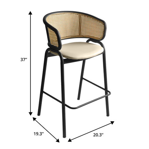 Ervilla Leather Bar Stool with Powder-Coated Stainless Steel Base and Curved Wicker Back Design