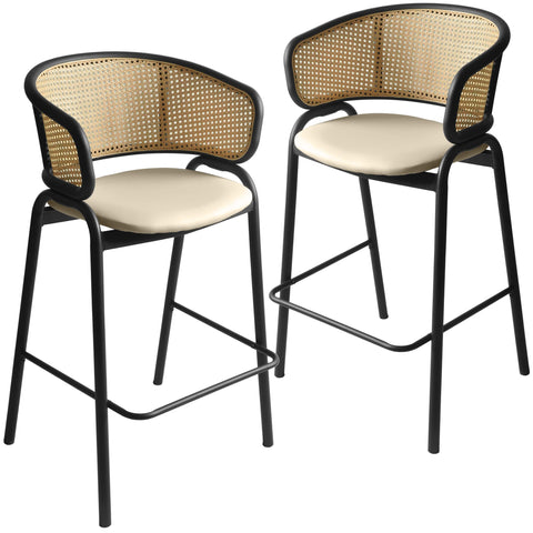 Ervilla Leather Bar Stool with Powder-Coated Stainless Steel Base and Curved Wicker Back Design