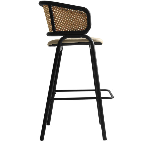 Ervilla Leather Bar Stool with Powder-Coated Stainless Steel Base and Curved Wicker Back Design