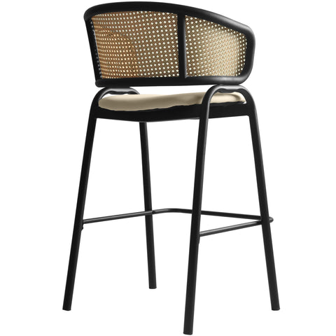 Ervilla Leather Bar Stool with Powder-Coated Stainless Steel Base and Curved Wicker Back Design