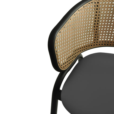 Ervilla Leather Bar Stool with Powder-Coated Stainless Steel Base and Curved Wicker Back Design