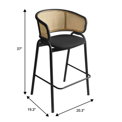 Ervilla Leather Bar Stool with Powder-Coated Stainless Steel Base and Curved Wicker Back Design