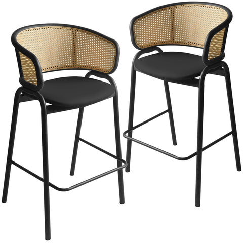 Ervilla Leather Bar Stool with Powder-Coated Stainless Steel Base and Curved Wicker Back Design