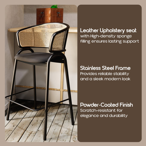 Ervilla Leather Bar Stool with Powder-Coated Stainless Steel Base and Curved Wicker Back Design