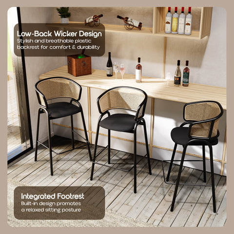 Ervilla Leather Bar Stool with Powder-Coated Stainless Steel Base and Curved Wicker Back Design