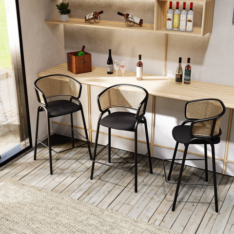 Ervilla Leather Bar Stool with Powder-Coated Stainless Steel Base and Curved Wicker Back Design