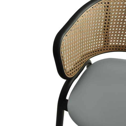 Ervilla Leather Bar Stool with Powder-Coated Stainless Steel Base and Curved Wicker Back Design