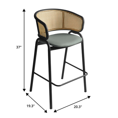 Ervilla Leather Bar Stool with Powder-Coated Stainless Steel Base and Curved Wicker Back Design