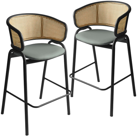 Ervilla Leather Bar Stool with Powder-Coated Stainless Steel Base and Curved Wicker Back Design