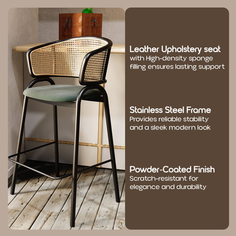 Ervilla Leather Bar Stool with Powder-Coated Stainless Steel Base and Curved Wicker Back Design