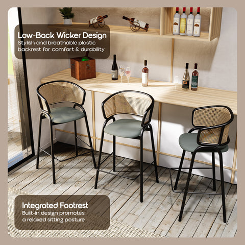 Ervilla Leather Bar Stool with Powder-Coated Stainless Steel Base and Curved Wicker Back Design