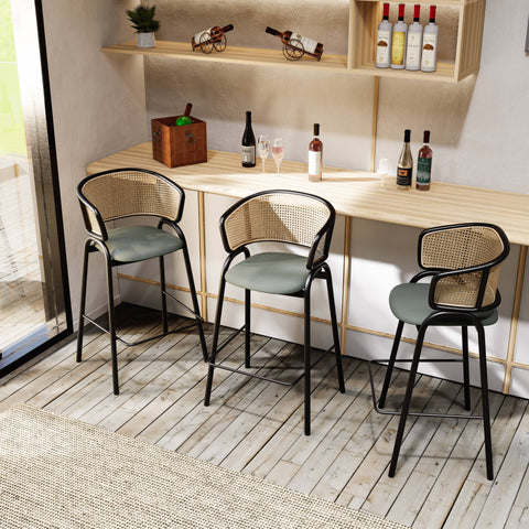 Ervilla Leather Bar Stool with Powder-Coated Stainless Steel Base and Curved Wicker Back Design