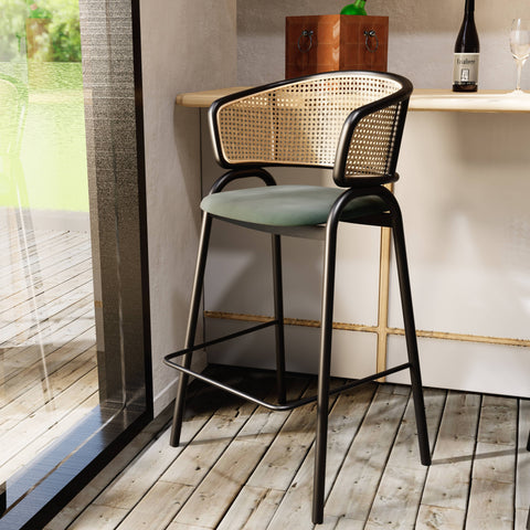 Ervilla Leather Bar Stool with Powder-Coated Stainless Steel Base and Curved Wicker Back Design