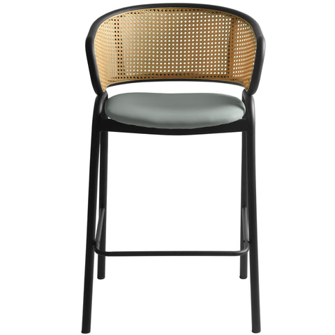 Ervilla Leather Bar Stool with Powder-Coated Stainless Steel Base and Curved Wicker Back Design