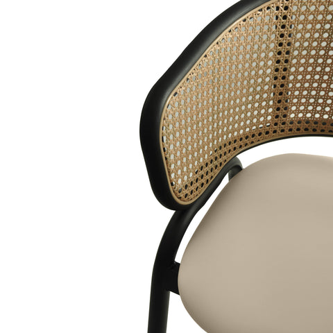 Ervilla Leather Bar Stool with Powder-Coated Stainless Steel Base and Curved Wicker Back Design