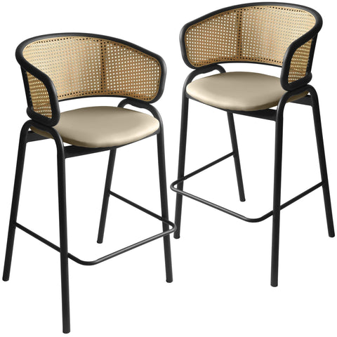 Ervilla Leather Bar Stool with Powder-Coated Stainless Steel Base and Curved Wicker Back Design