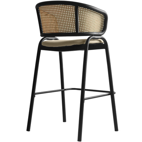 Ervilla Leather Bar Stool with Powder-Coated Stainless Steel Base and Curved Wicker Back Design