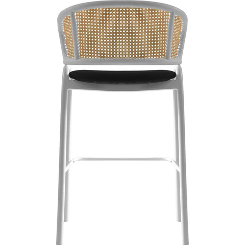 Ervilla Leather Bar Stool with Powder-Coated Stainless Steel Base and Curved Wicker Back Design