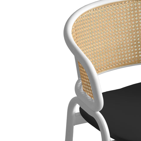 Ervilla Leather Bar Stool with Powder-Coated Stainless Steel Base and Curved Wicker Back Design