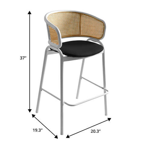 Ervilla Leather Bar Stool with Powder-Coated Stainless Steel Base and Curved Wicker Back Design