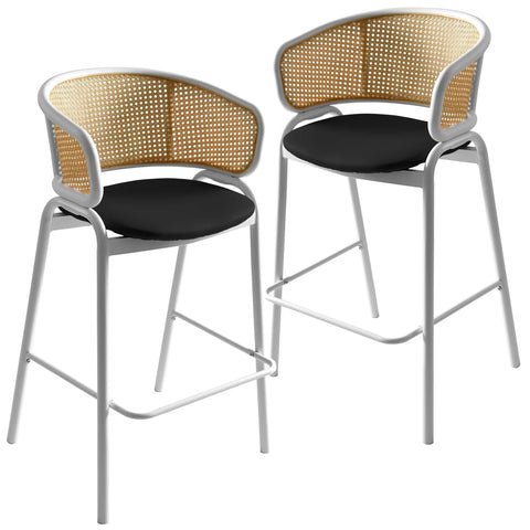 Ervilla Leather Bar Stool with Powder-Coated Stainless Steel Base and Curved Wicker Back Design