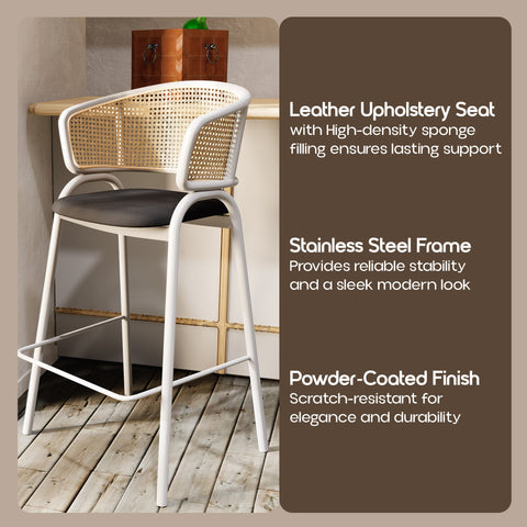 Ervilla Leather Bar Stool with Powder-Coated Stainless Steel Base and Curved Wicker Back Design