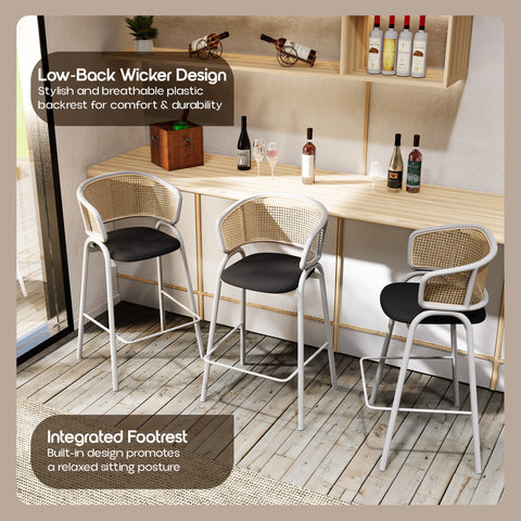 Ervilla Leather Bar Stool with Powder-Coated Stainless Steel Base and Curved Wicker Back Design