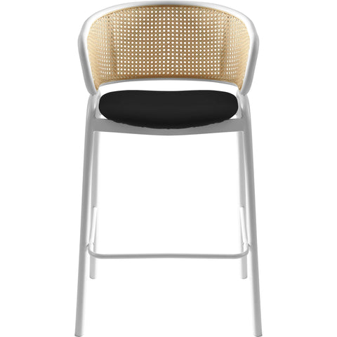 Ervilla Leather Bar Stool with Powder-Coated Stainless Steel Base and Curved Wicker Back Design