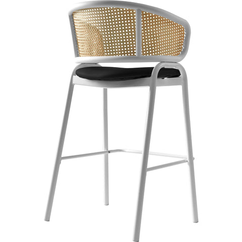 Ervilla Leather Bar Stool with Powder-Coated Stainless Steel Base and Curved Wicker Back Design