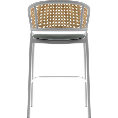 Ervilla Leather Bar Stool with Powder-Coated Stainless Steel Base and Curved Wicker Back Design