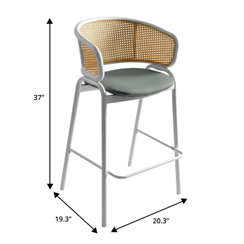 Ervilla Leather Bar Stool with Powder-Coated Stainless Steel Base and Curved Wicker Back Design