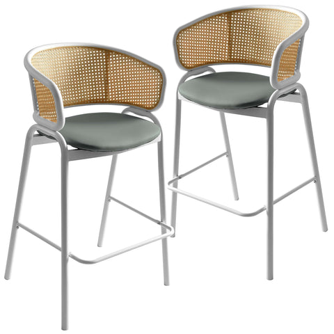 Ervilla Leather Bar Stool with Powder-Coated Stainless Steel Base and Curved Wicker Back Design