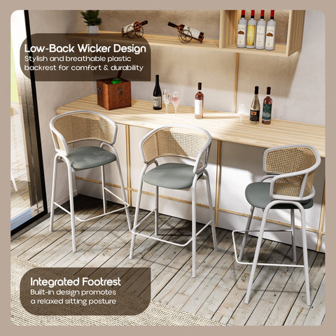 Ervilla Leather Bar Stool with Powder-Coated Stainless Steel Base and Curved Wicker Back Design