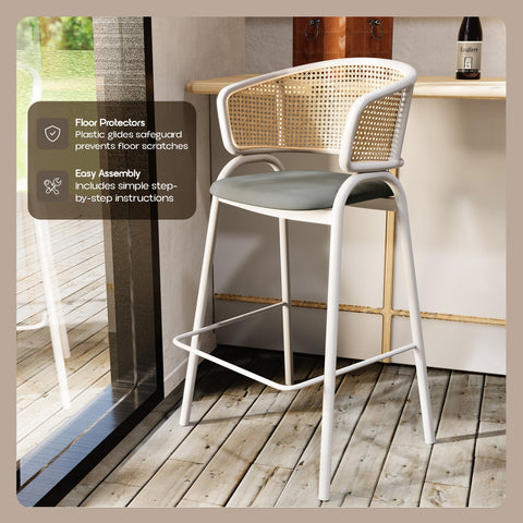 Ervilla Leather Bar Stool with Powder-Coated Stainless Steel Base and Curved Wicker Back Design