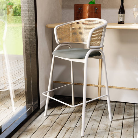 Ervilla Leather Bar Stool with Powder-Coated Stainless Steel Base and Curved Wicker Back Design