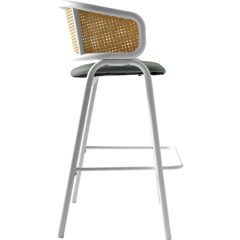 Ervilla Leather Bar Stool with Powder-Coated Stainless Steel Base and Curved Wicker Back Design